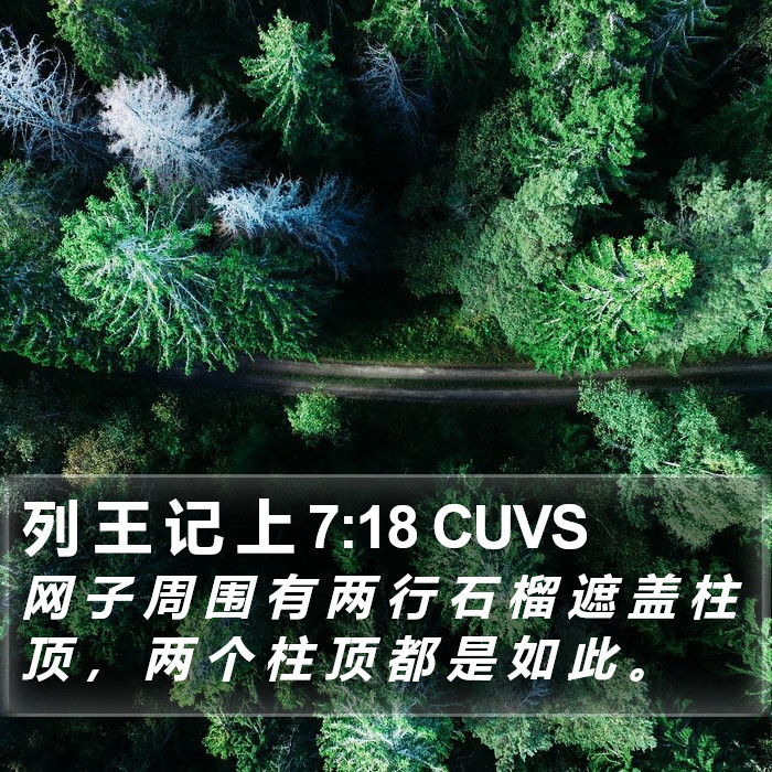 列 王 记 上 7:18 CUVS Bible Study
