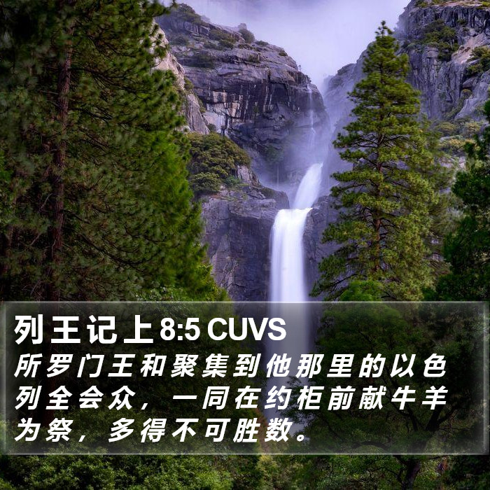 列 王 记 上 8:5 CUVS Bible Study