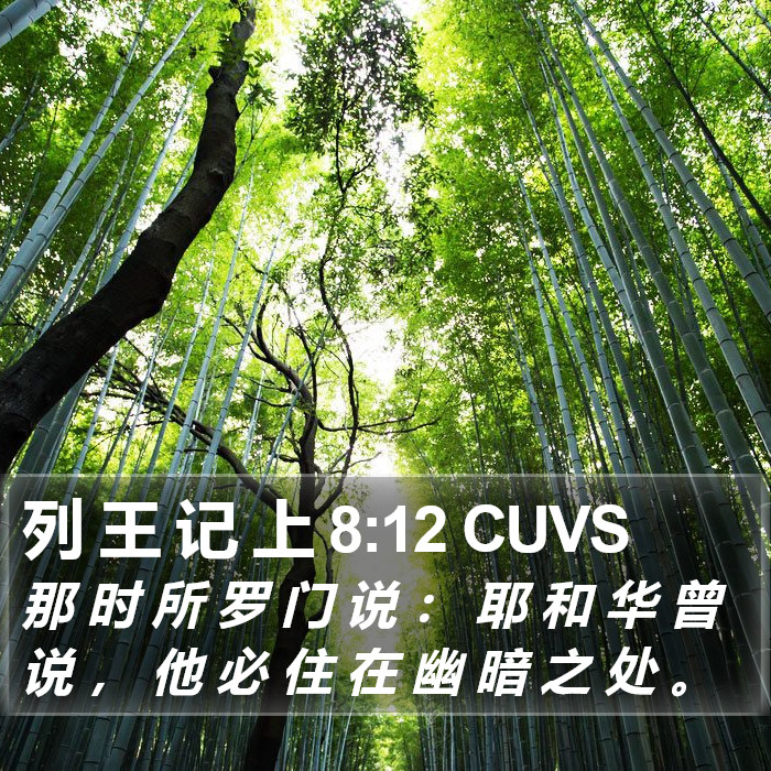 列 王 记 上 8:12 CUVS Bible Study