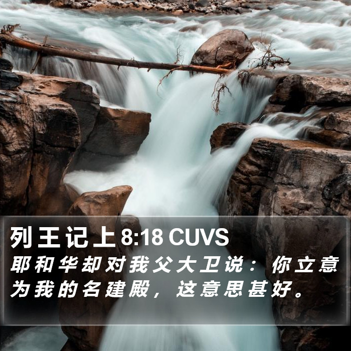 列 王 记 上 8:18 CUVS Bible Study