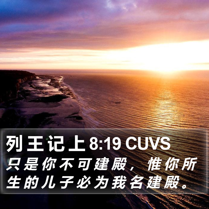 列 王 记 上 8:19 CUVS Bible Study