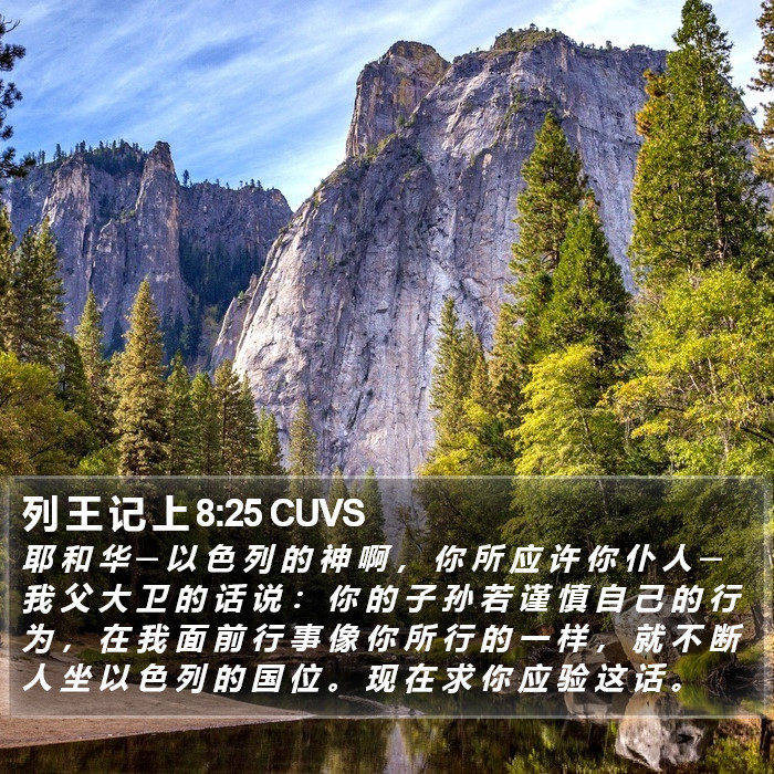 列 王 记 上 8:25 CUVS Bible Study