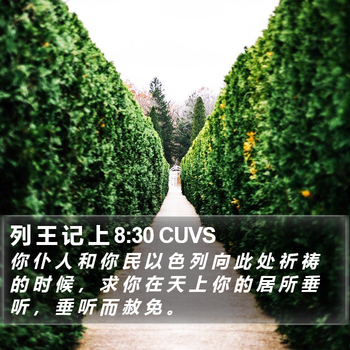 列 王 记 上 8:30 CUVS Bible Study