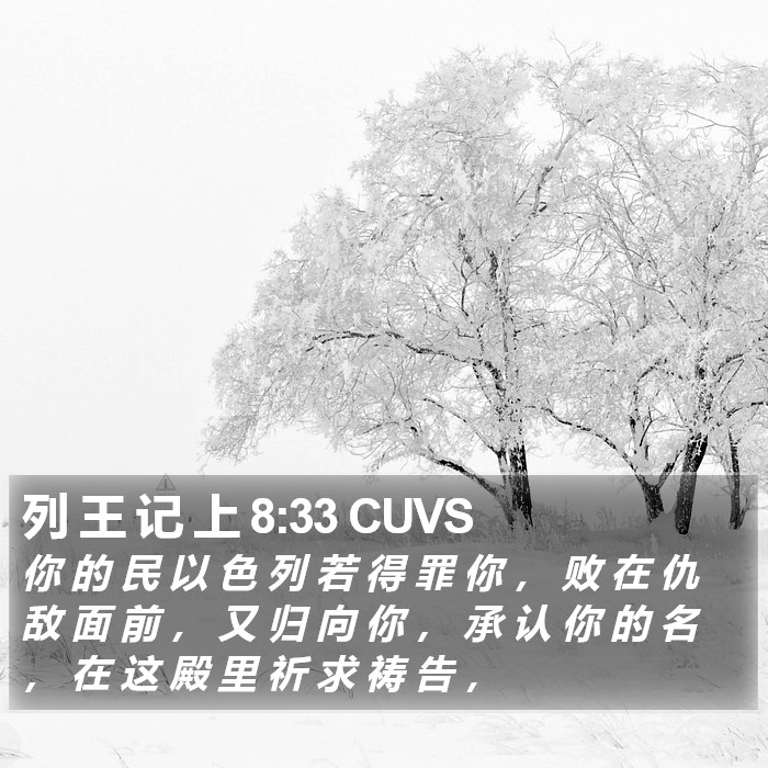 列 王 记 上 8:33 CUVS Bible Study