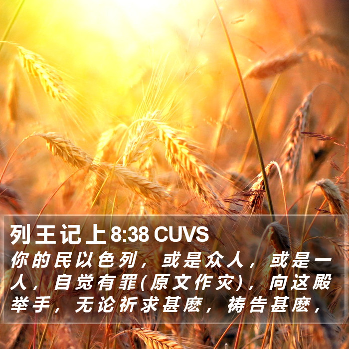 列 王 记 上 8:38 CUVS Bible Study