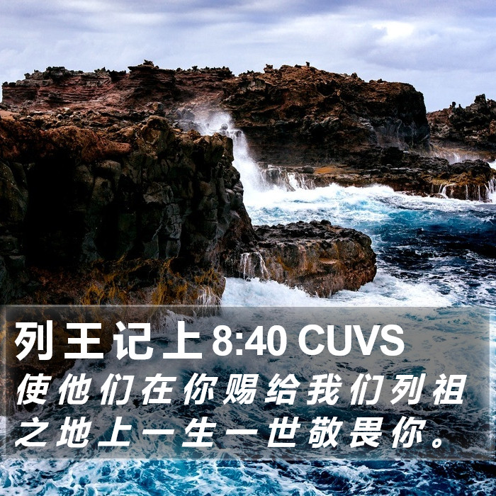 列 王 记 上 8:40 CUVS Bible Study