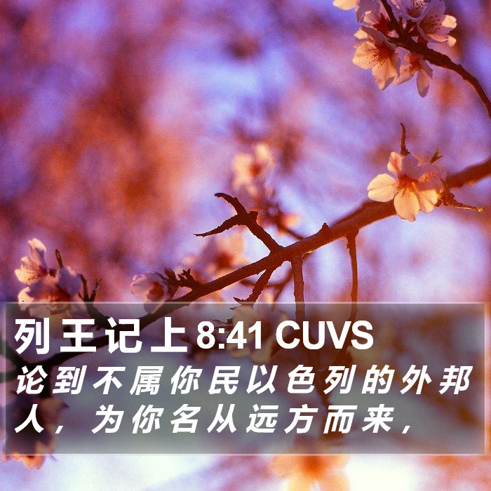 列 王 记 上 8:41 CUVS Bible Study