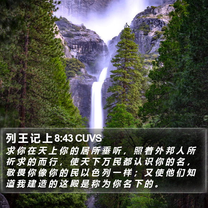 列 王 记 上 8:43 CUVS Bible Study