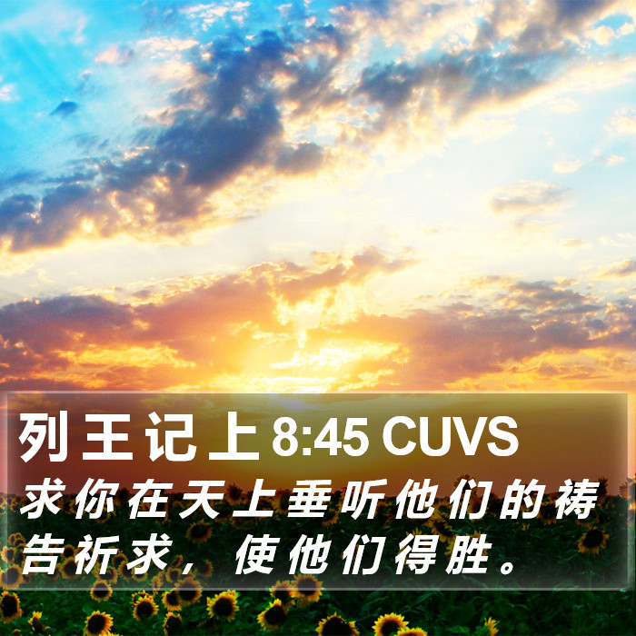 列 王 记 上 8:45 CUVS Bible Study