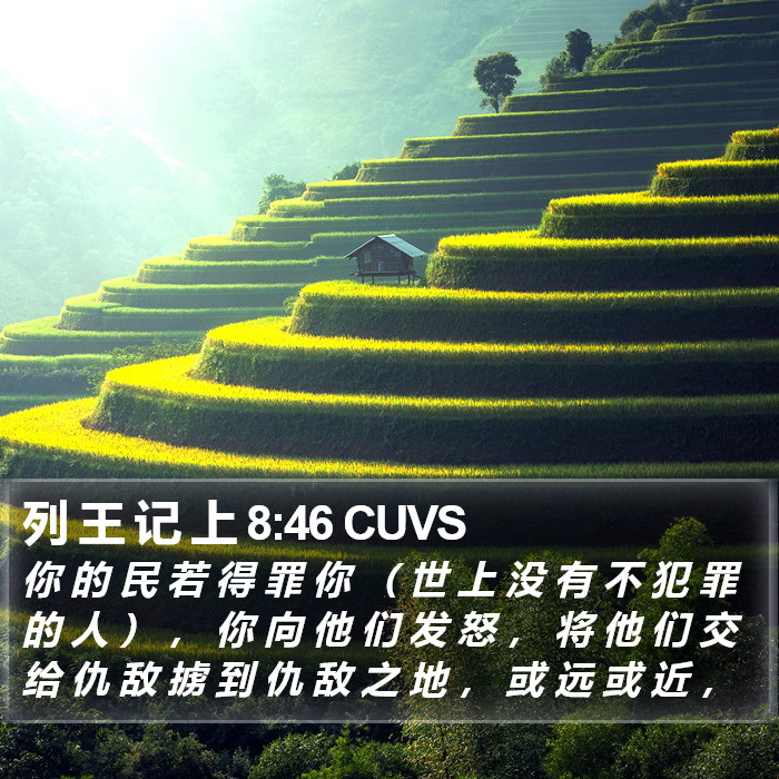 列 王 记 上 8:46 CUVS Bible Study