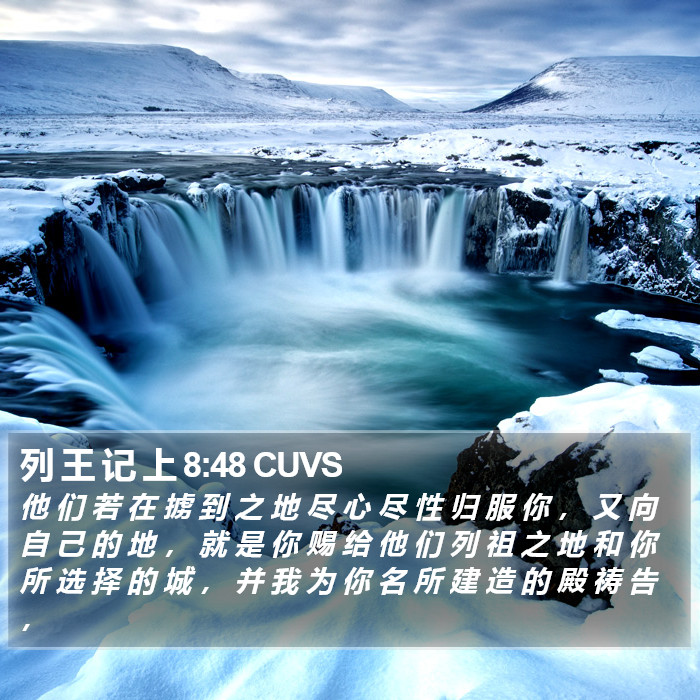 列 王 记 上 8:48 CUVS Bible Study