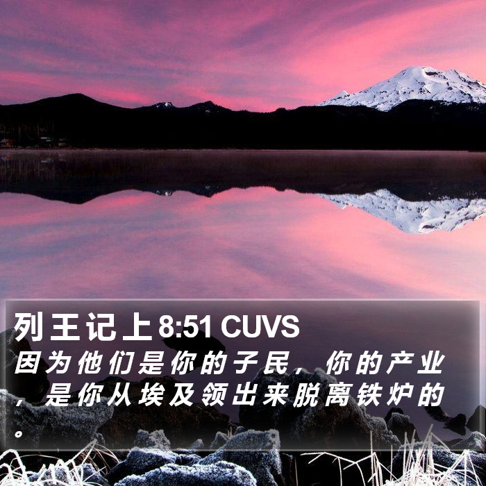 列 王 记 上 8:51 CUVS Bible Study