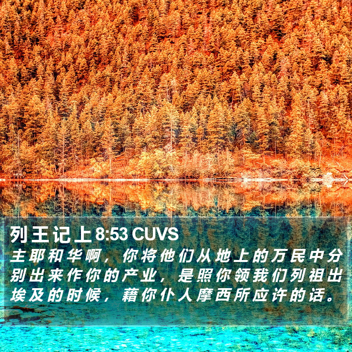 列 王 记 上 8:53 CUVS Bible Study