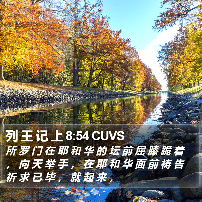 列 王 记 上 8:54 CUVS Bible Study