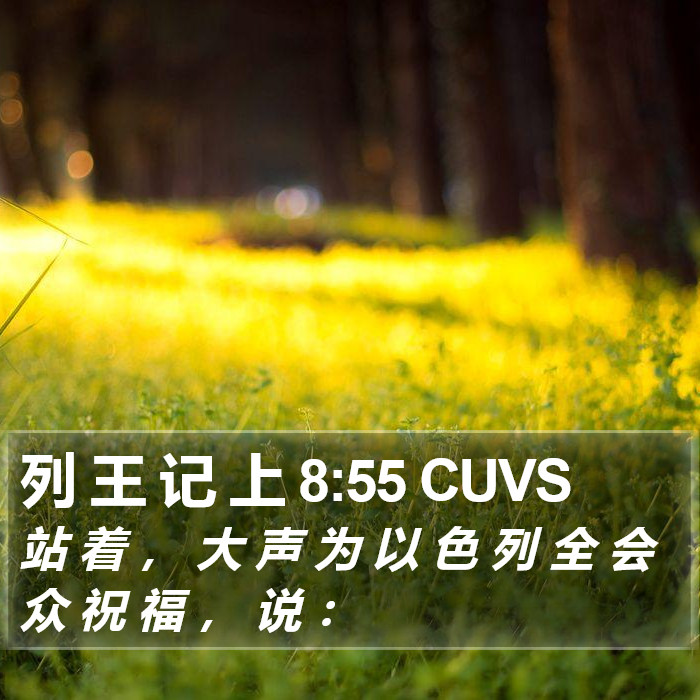 列 王 记 上 8:55 CUVS Bible Study