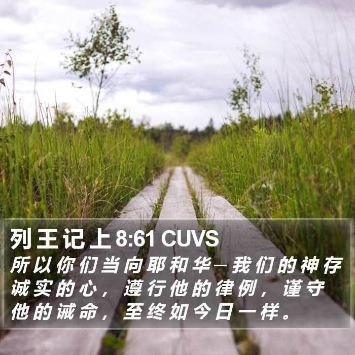 列 王 记 上 8:61 CUVS Bible Study