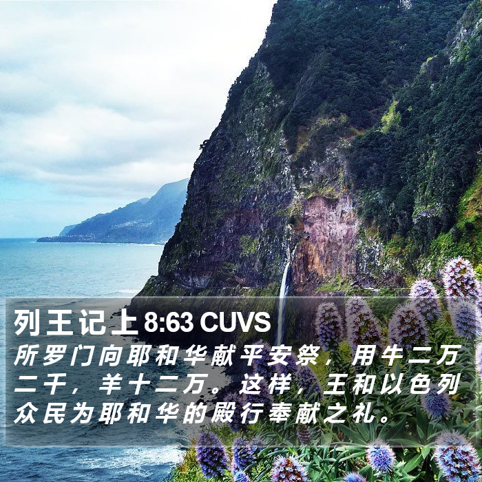 列 王 记 上 8:63 CUVS Bible Study