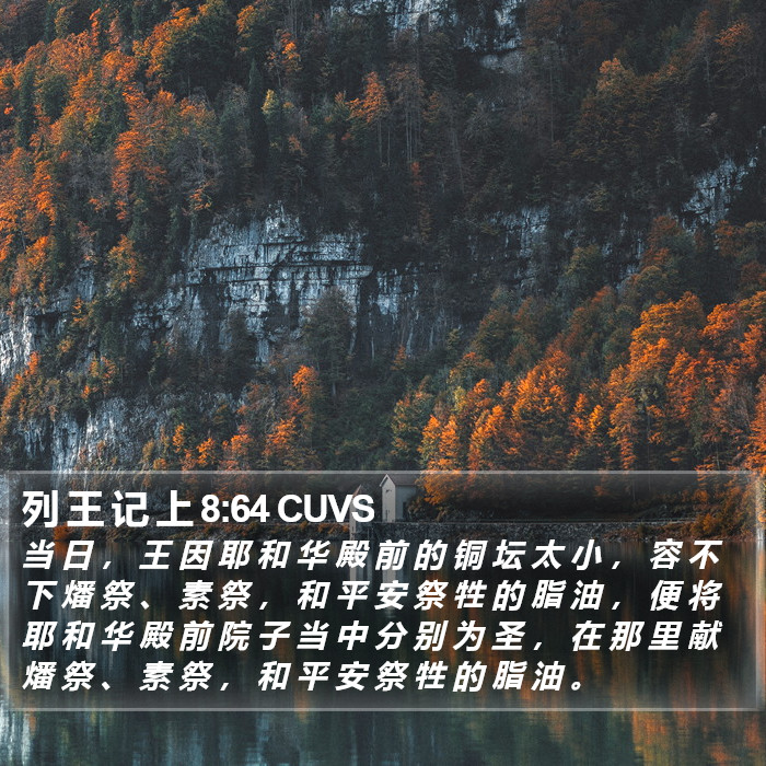 列 王 记 上 8:64 CUVS Bible Study