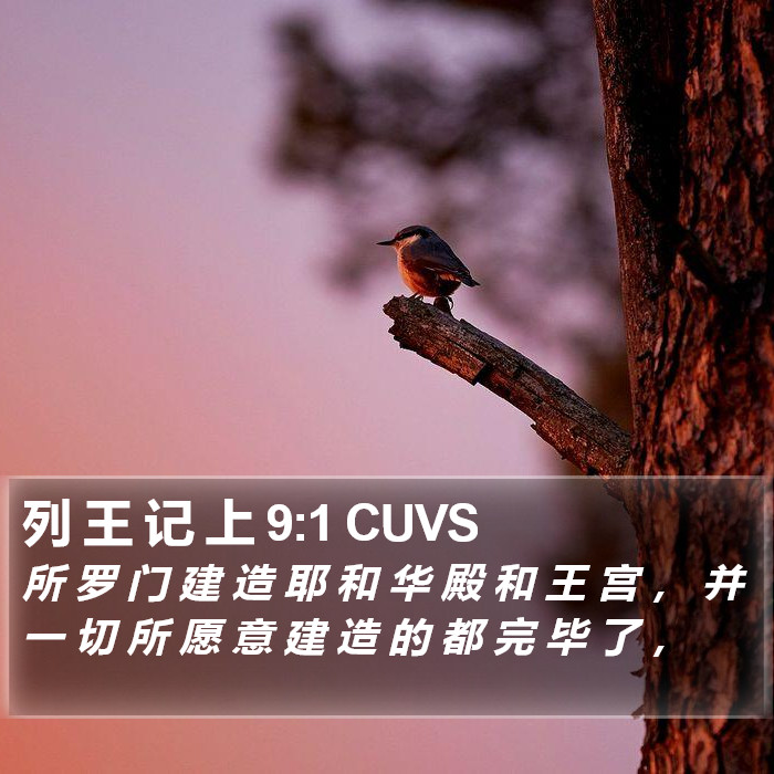 列 王 记 上 9:1 CUVS Bible Study