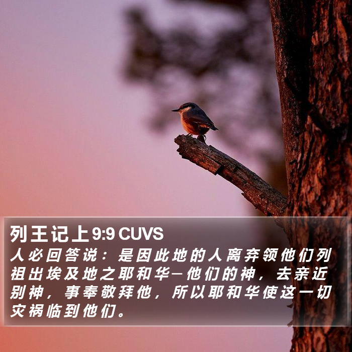 列 王 记 上 9:9 CUVS Bible Study