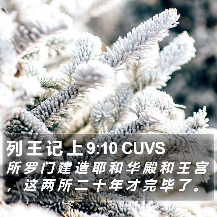 列 王 记 上 9:10 CUVS Bible Study