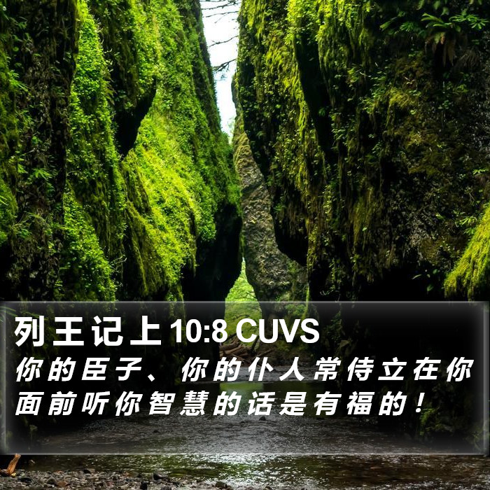 列 王 记 上 10:8 CUVS Bible Study
