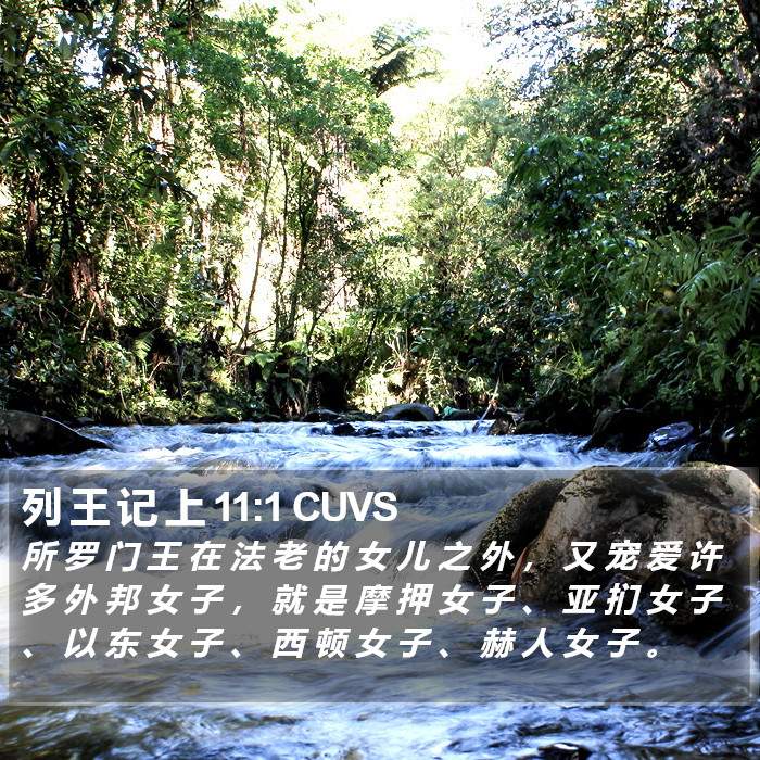 列 王 记 上 11:1 CUVS Bible Study