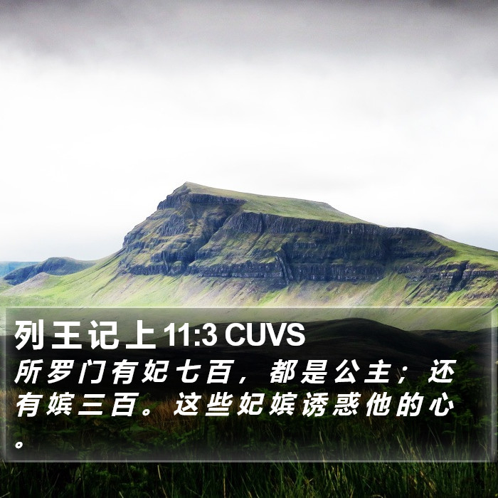 列 王 记 上 11:3 CUVS Bible Study