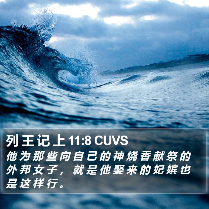 列 王 记 上 11:8 CUVS Bible Study