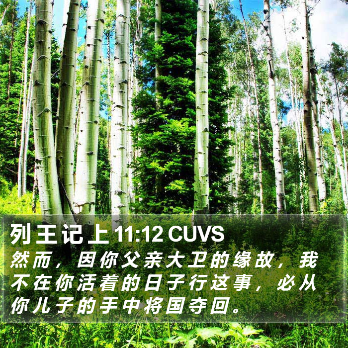 列 王 记 上 11:12 CUVS Bible Study