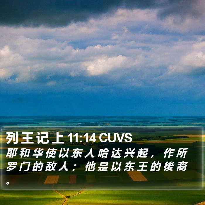 列 王 记 上 11:14 CUVS Bible Study