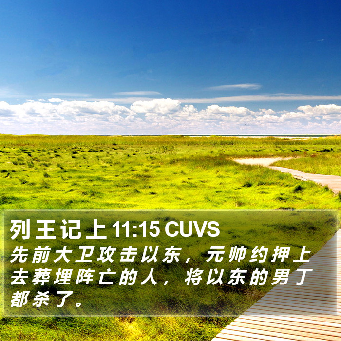列 王 记 上 11:15 CUVS Bible Study