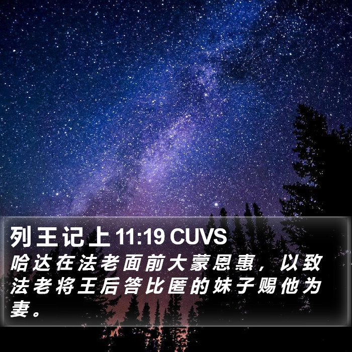 列 王 记 上 11:19 CUVS Bible Study