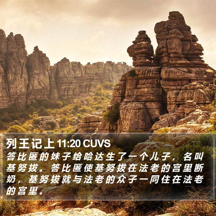 列 王 记 上 11:20 CUVS Bible Study