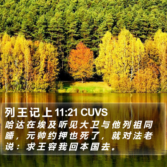 列 王 记 上 11:21 CUVS Bible Study
