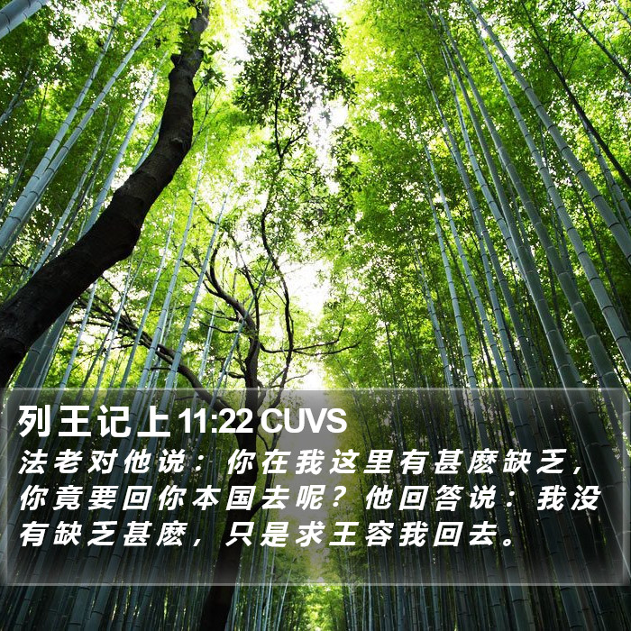 列 王 记 上 11:22 CUVS Bible Study