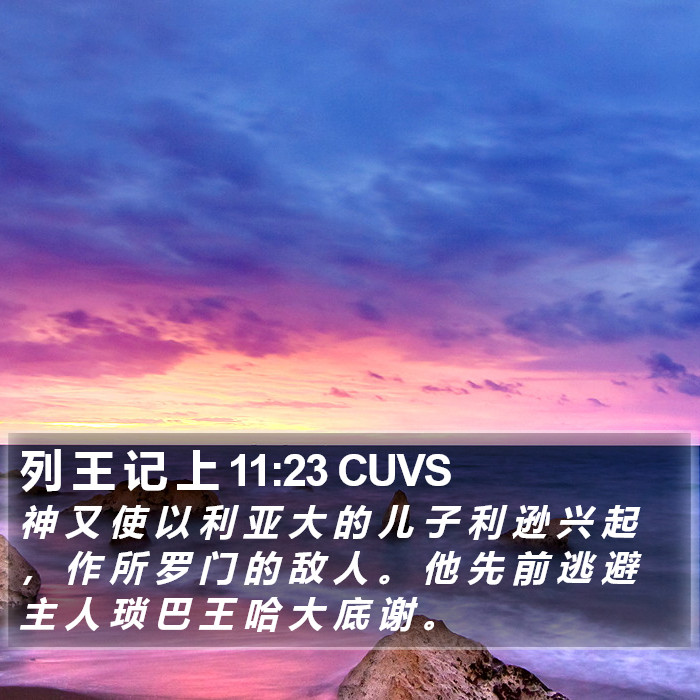 列 王 记 上 11:23 CUVS Bible Study