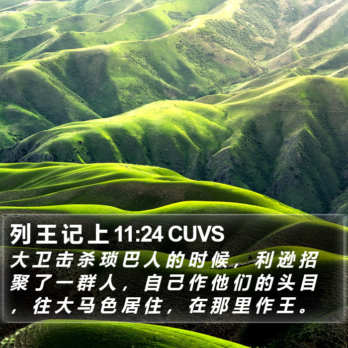 列 王 记 上 11:24 CUVS Bible Study