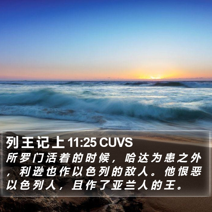 列 王 记 上 11:25 CUVS Bible Study