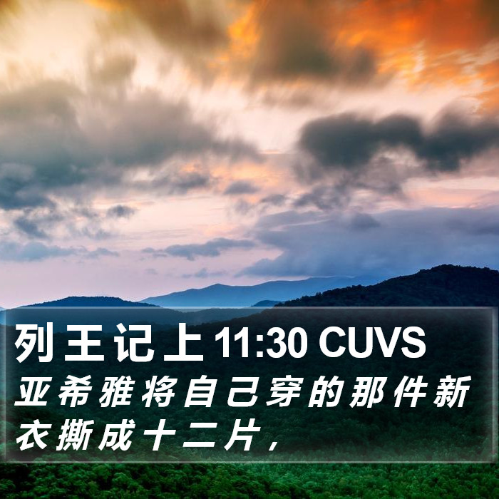 列 王 记 上 11:30 CUVS Bible Study