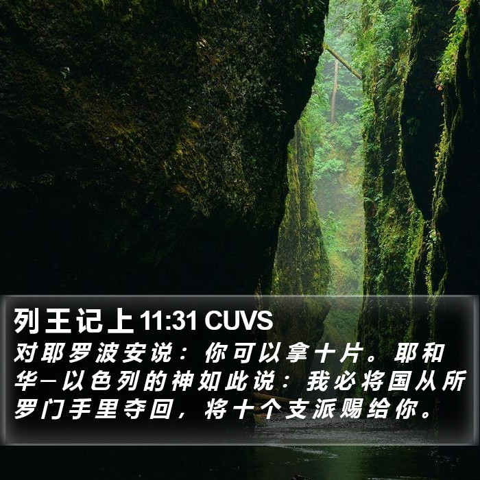 列 王 记 上 11:31 CUVS Bible Study