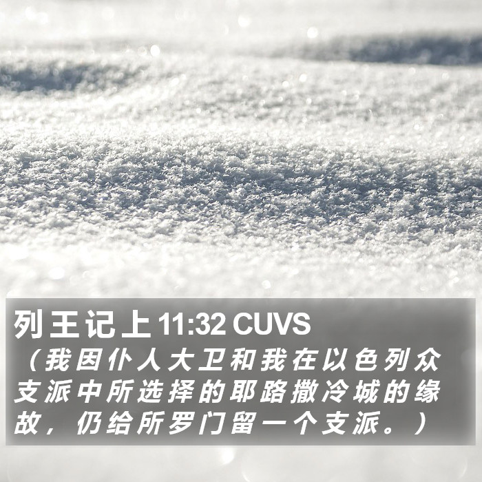 列 王 记 上 11:32 CUVS Bible Study
