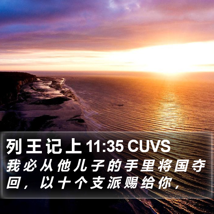 列 王 记 上 11:35 CUVS Bible Study