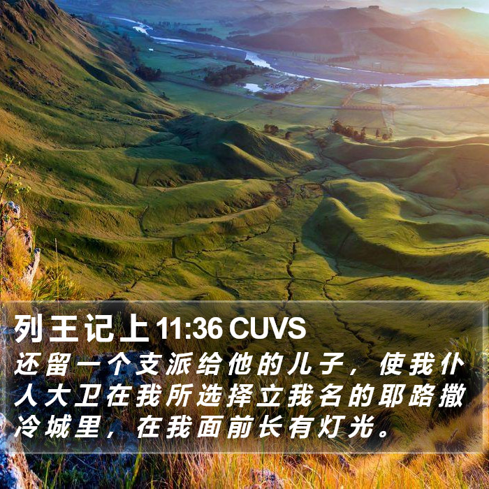 列 王 记 上 11:36 CUVS Bible Study