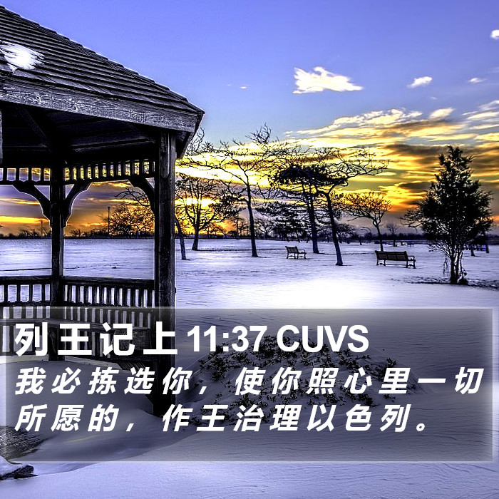 列 王 记 上 11:37 CUVS Bible Study