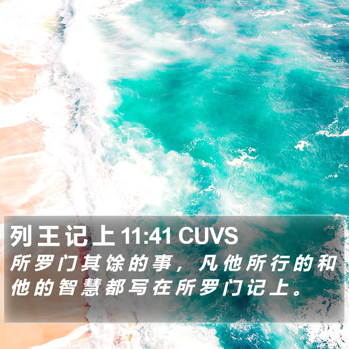 列 王 记 上 11:41 CUVS Bible Study
