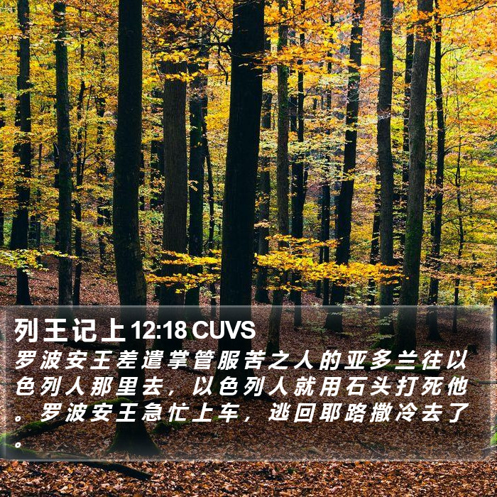 列 王 记 上 12:18 CUVS Bible Study