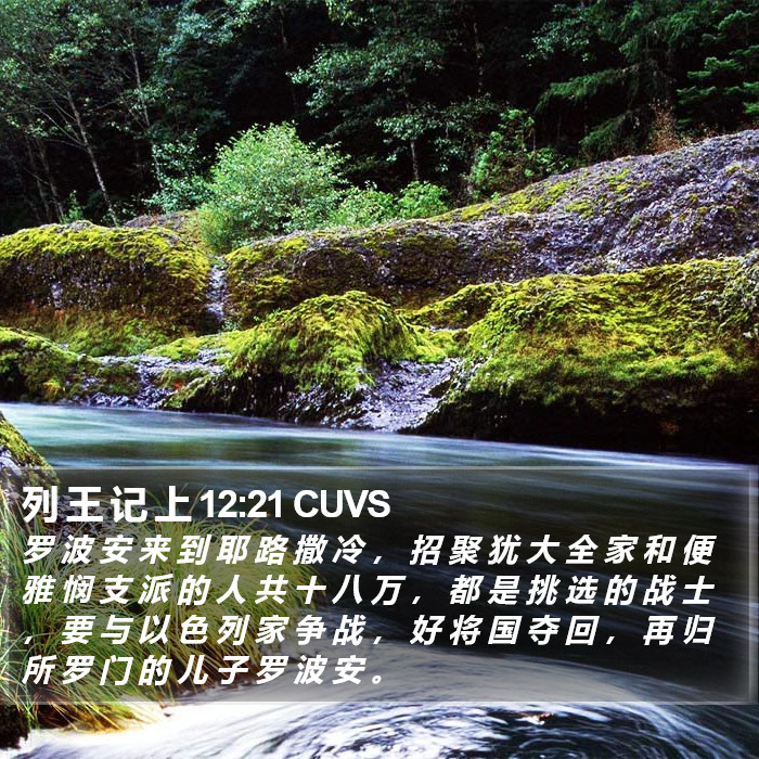 列 王 记 上 12:21 CUVS Bible Study