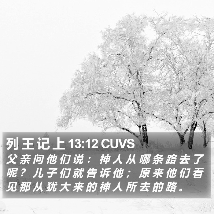 列 王 记 上 13:12 CUVS Bible Study