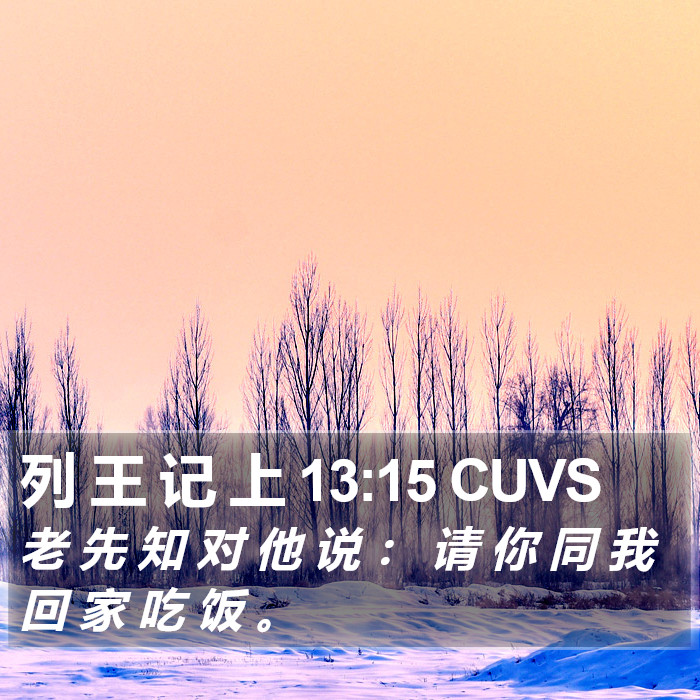 列 王 记 上 13:15 CUVS Bible Study